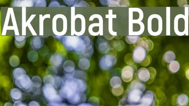 Akrobat Bold Example 1