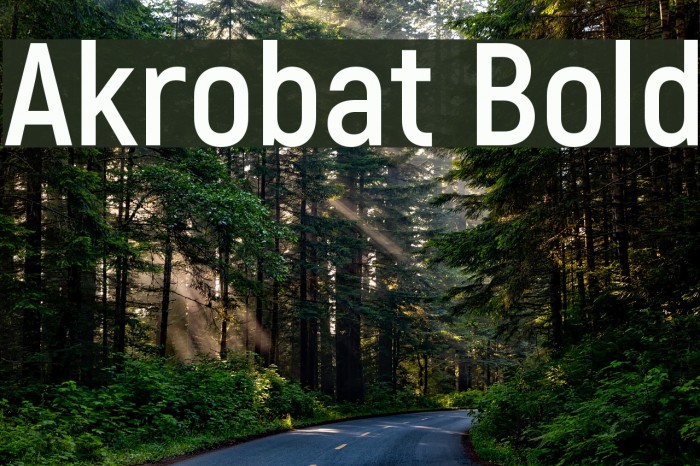 Akrobat Bold Example 2