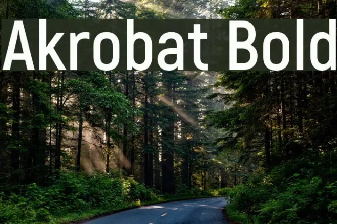Akrobat Bold Example 2