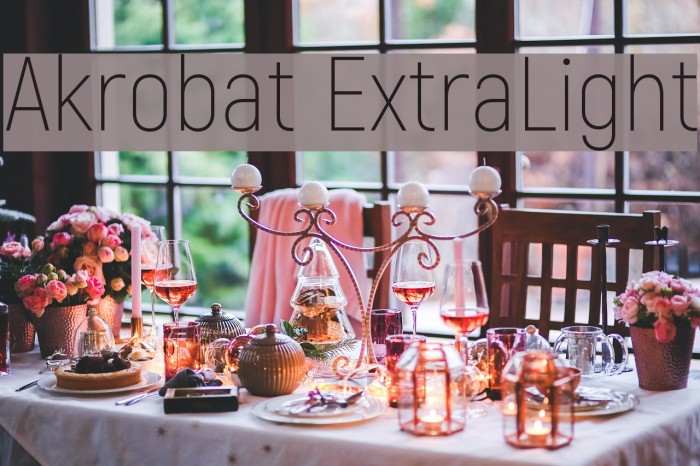 Akrobat ExtraLight Example 1