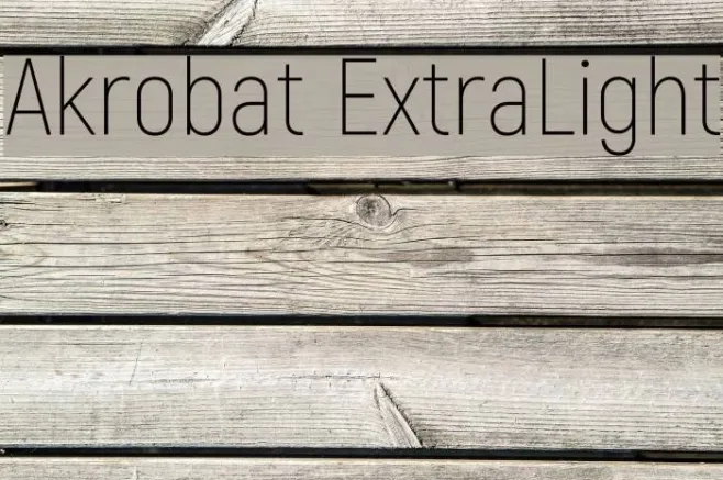 Akrobat ExtraLight Example 2
