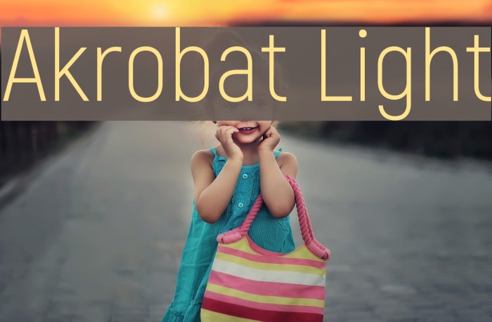 Akrobat Light Example 2