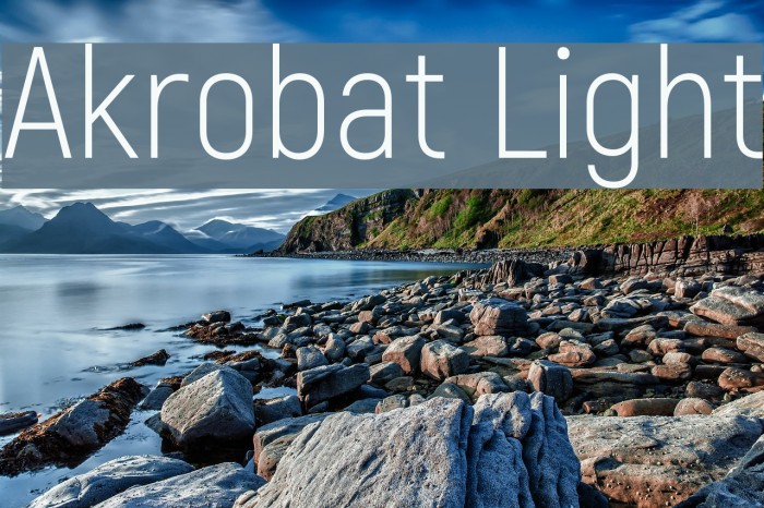 Akrobat Light Example 3