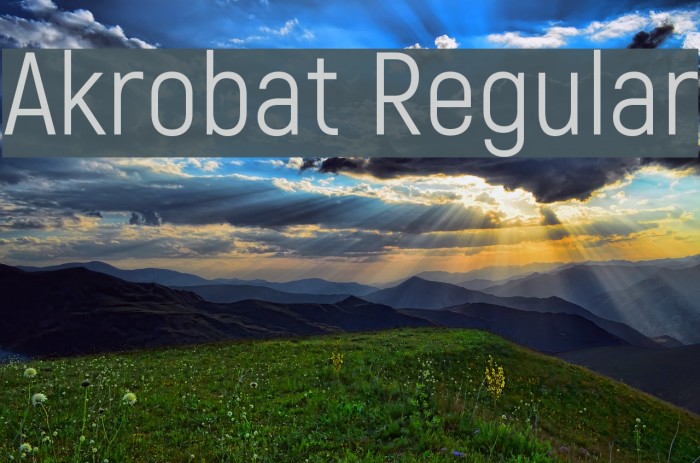 Akrobat Regular Example 2