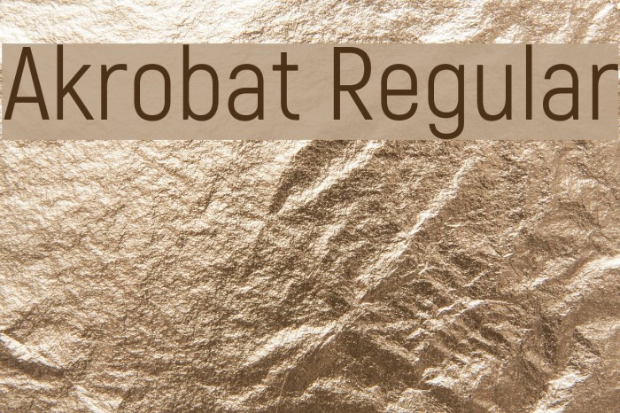 Akrobat Regular Example 3