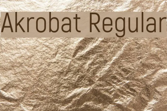 Akrobat Regular Example 3