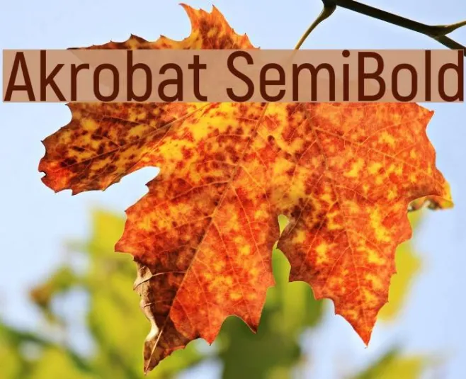 Akrobat SemiBold Example 1