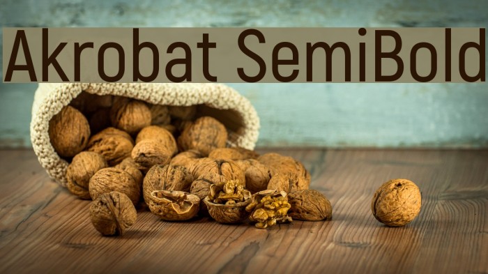 Akrobat SemiBold Example 2