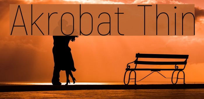 Akrobat Thin Example 2