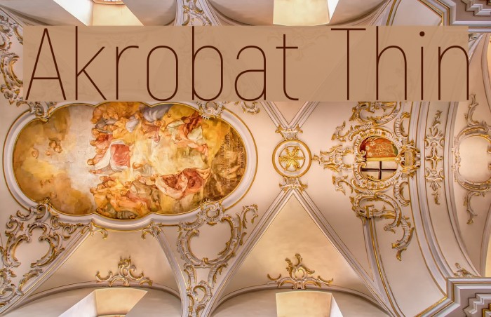 Akrobat Thin Example 3