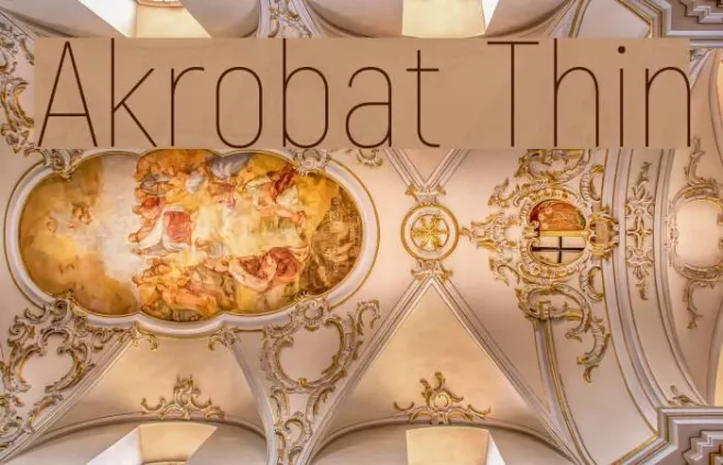 Akrobat Thin Example 3