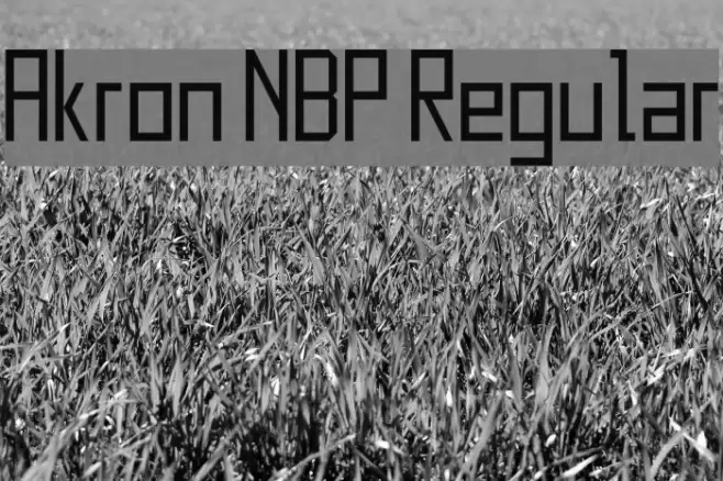Akron NBP Regular Font examples