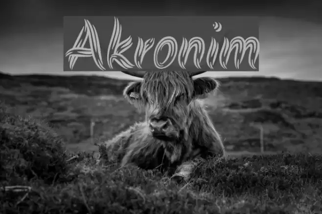 Akronim Font examples