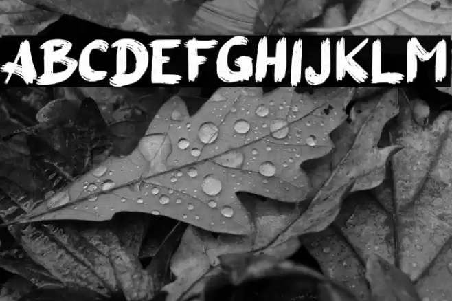 Aksi Mosi Font examples