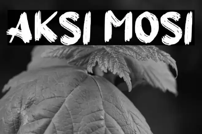 Aksi Mosi Font examples