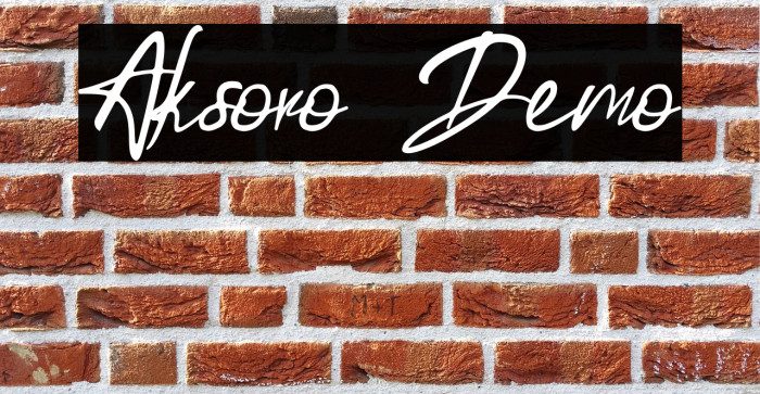 Aksoro Demo Example 2