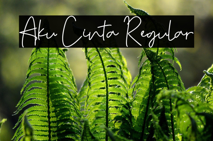 Aku Cinta Regular Example 1