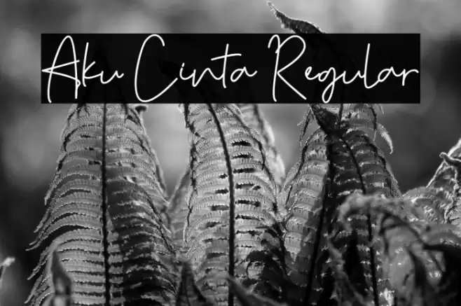 Aku Cinta Regular Fuentes examples