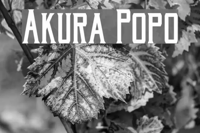 Akura Popo Font examples