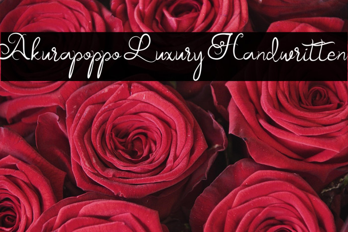 Akurapoppo Luxury Handwritten Example 2
