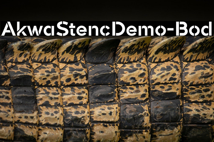 AkwaStencilDemo-Bold Example 1