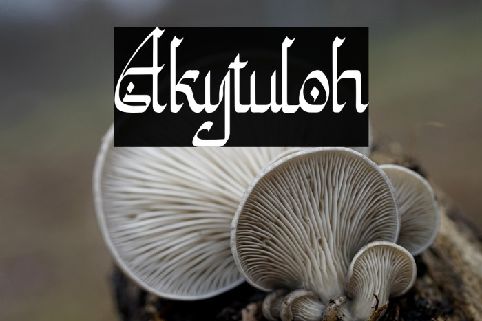 Akytuloh Example 2