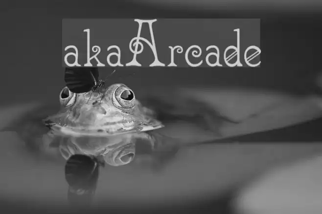 akaArcade Font examples