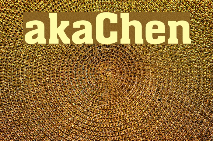 akaChen Example 3