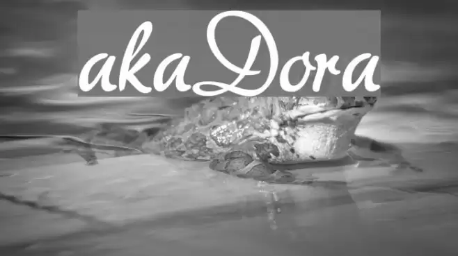 akaDora Font examples
