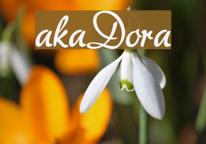 akaDora フォント examples