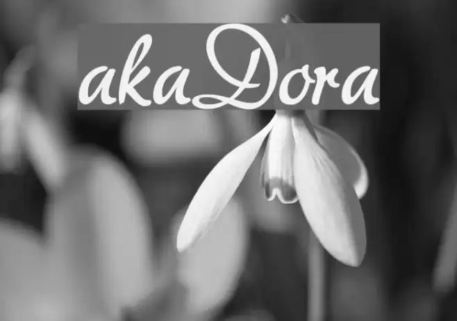 akaDora Font examples