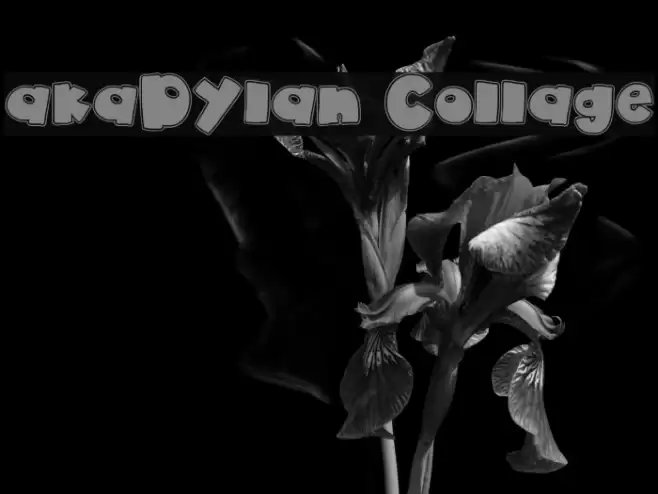 akaDylan Collage Font examples