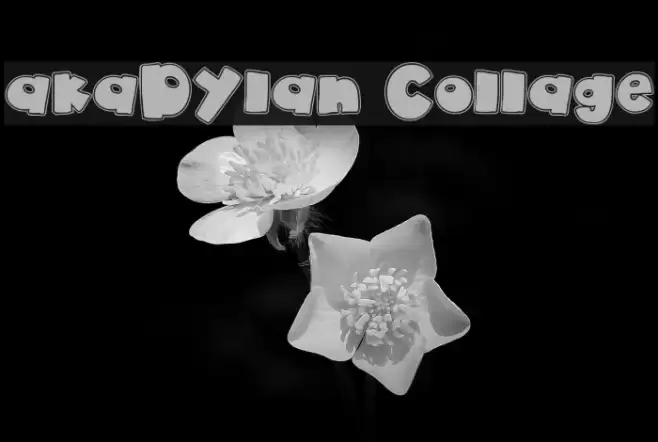 akaDylan Collage Font examples