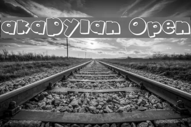 akaDylan Open Polices examples