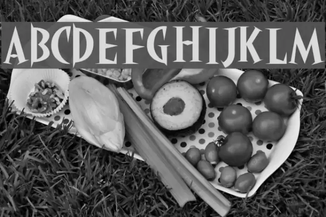akaHoggle Fonte examples