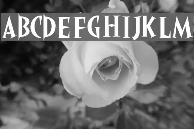 akaHoggle Fonte examples