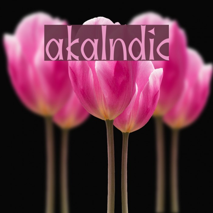 akaIndic フォント examples