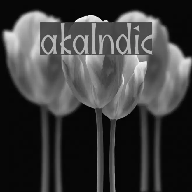 akaIndic Font examples