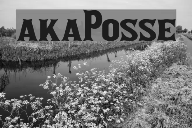 akaPosse フォント examples