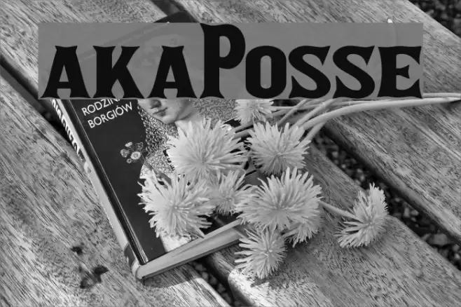 akaPosse フォント examples