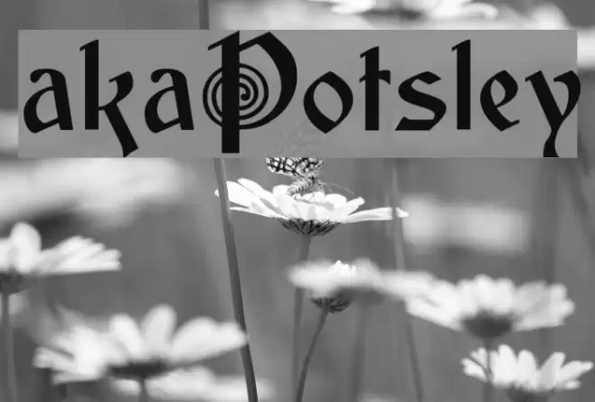 akaPotsley フォント examples