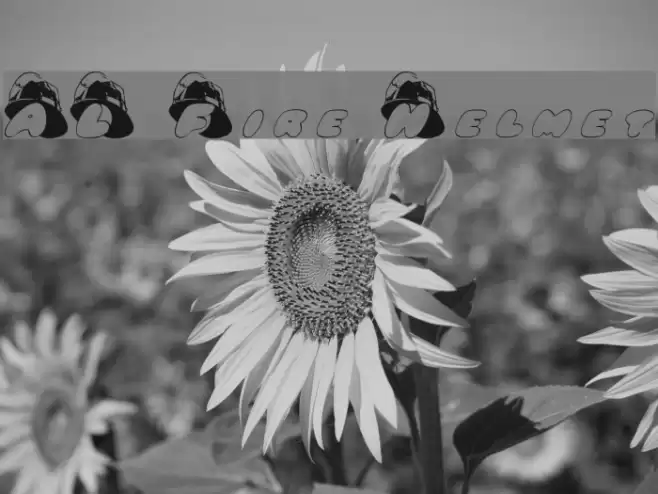 AL Fire Helmet Font examples