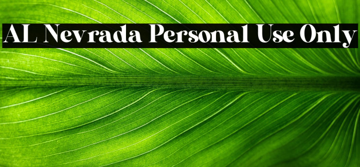 AL Nevrada Personal Use Only Example 3