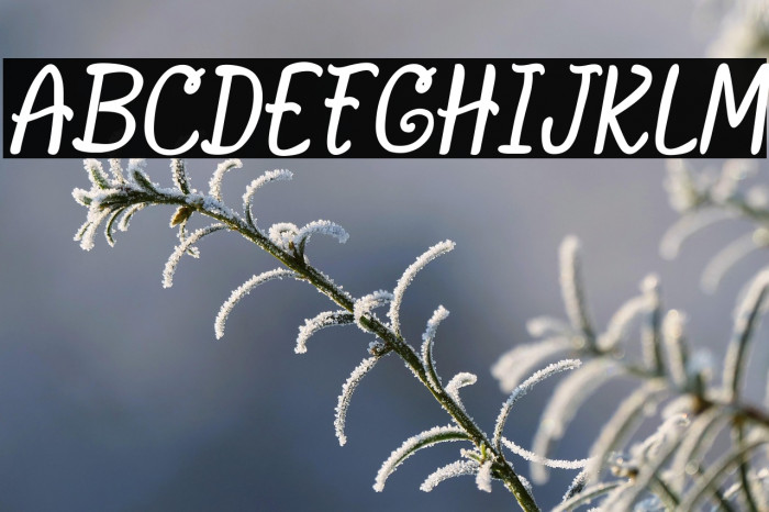 ALASKA Coffee Example 2