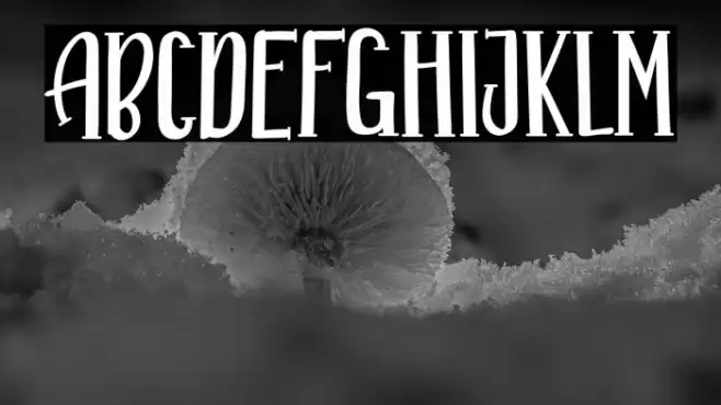 ALASKANA Font examples