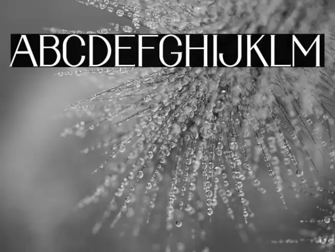 ALBERO Font examples