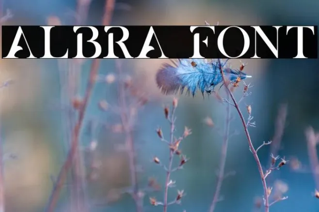 ALBRA Example 1