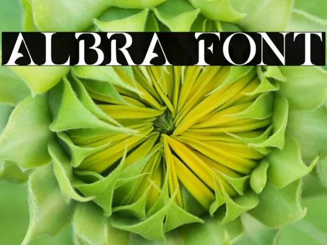 ALBRA Example 3