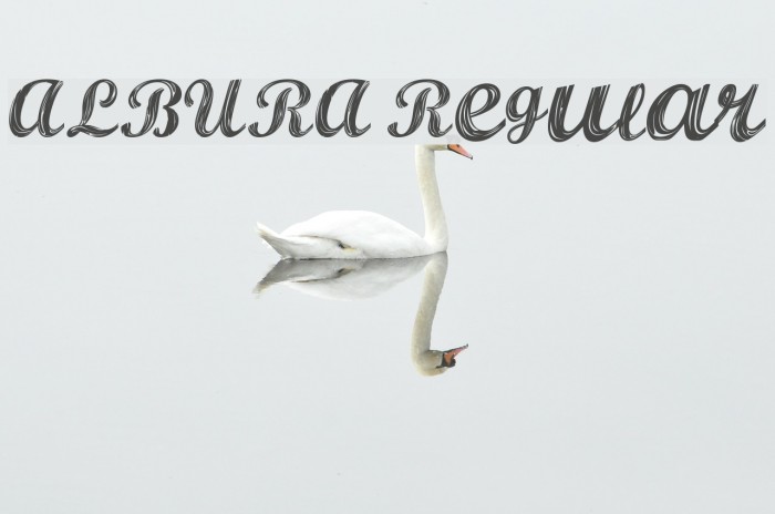 ALBURA Regular Font examples
