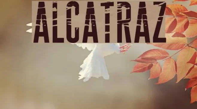 ALCATRAZ Example 1